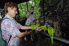 0117 Cairns Tropical Zoo